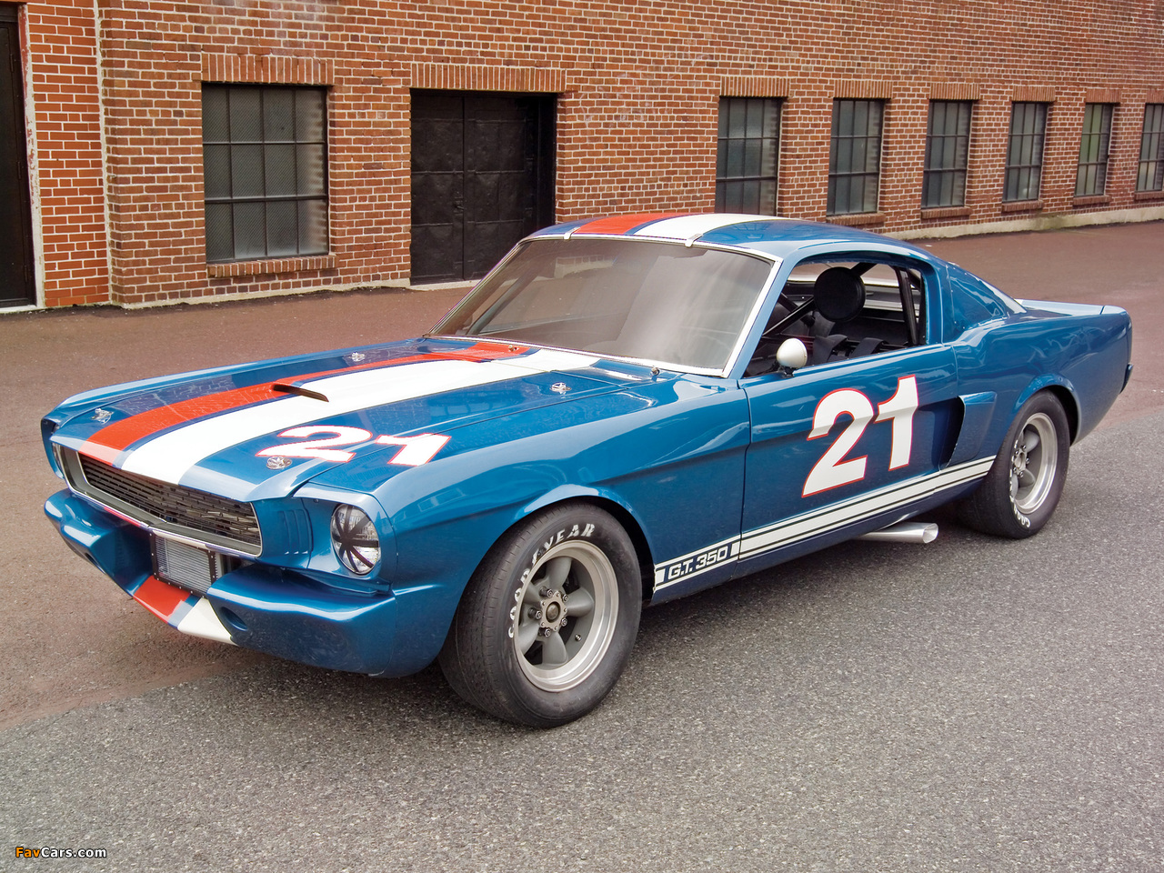 Photos of Shelby GT350H SCCA B-Production Race Car 1966 (1280 x 960)