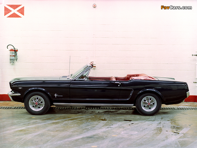 Photos of Mustang Convertible 1966 (640 x 480)