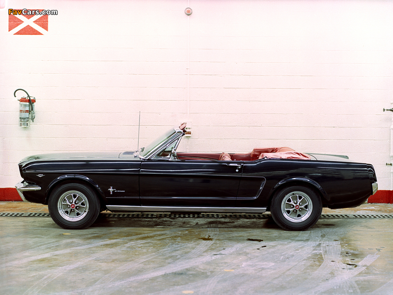 Photos of Mustang Convertible 1966 (800 x 600)