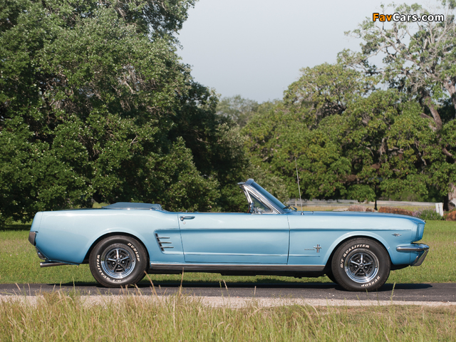 Photos of Mustang Convertible 1966 (640 x 480)