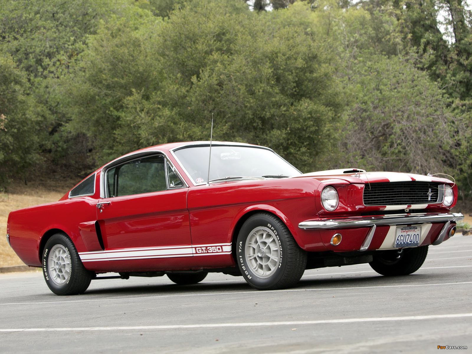 Photos of Shelby GT350 1966 (1600 x 1200)
