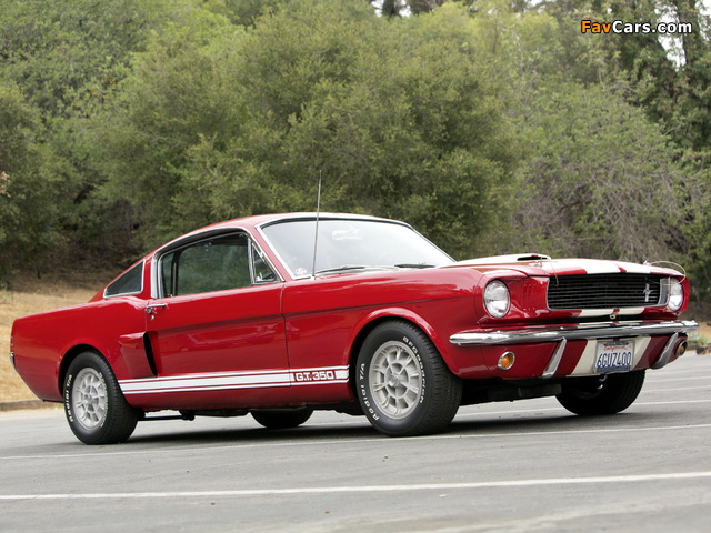 Photos of Shelby GT350 1966 (640 x 480)