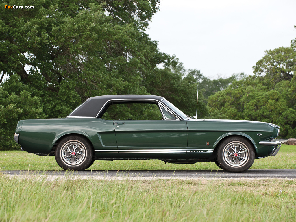 Photos of Mustang GT Hardtop 1966 (1024 x 768)