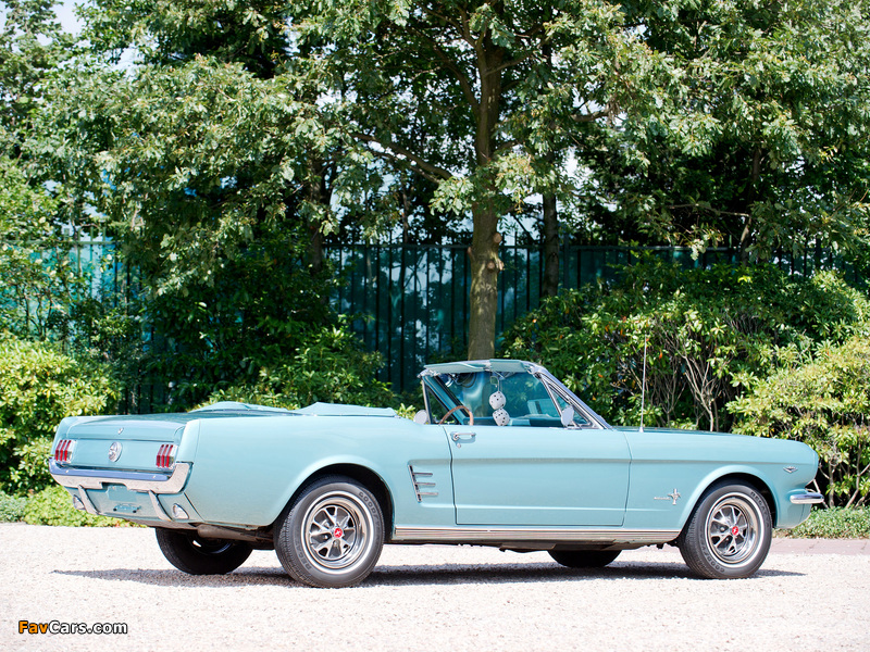 Photos of Mustang Convertible 1966 (800 x 600)