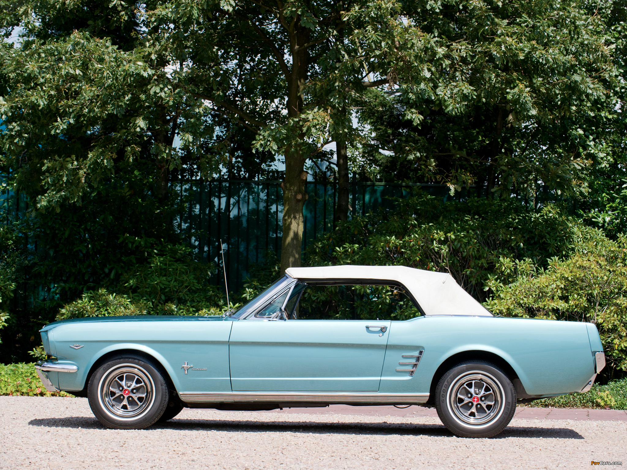 Photos of Mustang Convertible 1966 (2048 x 1536)