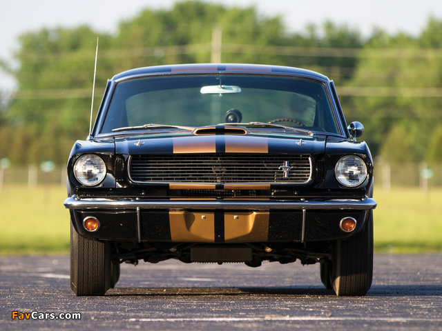 Photos of Shelby GT350H 1966 (640 x 480)