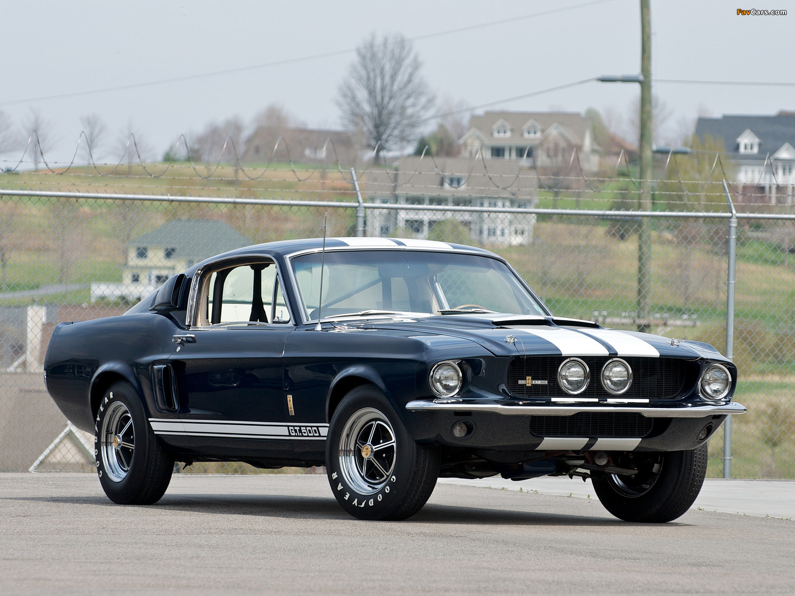 Photos of Shelby GT500 1967 (1600 x 1200)