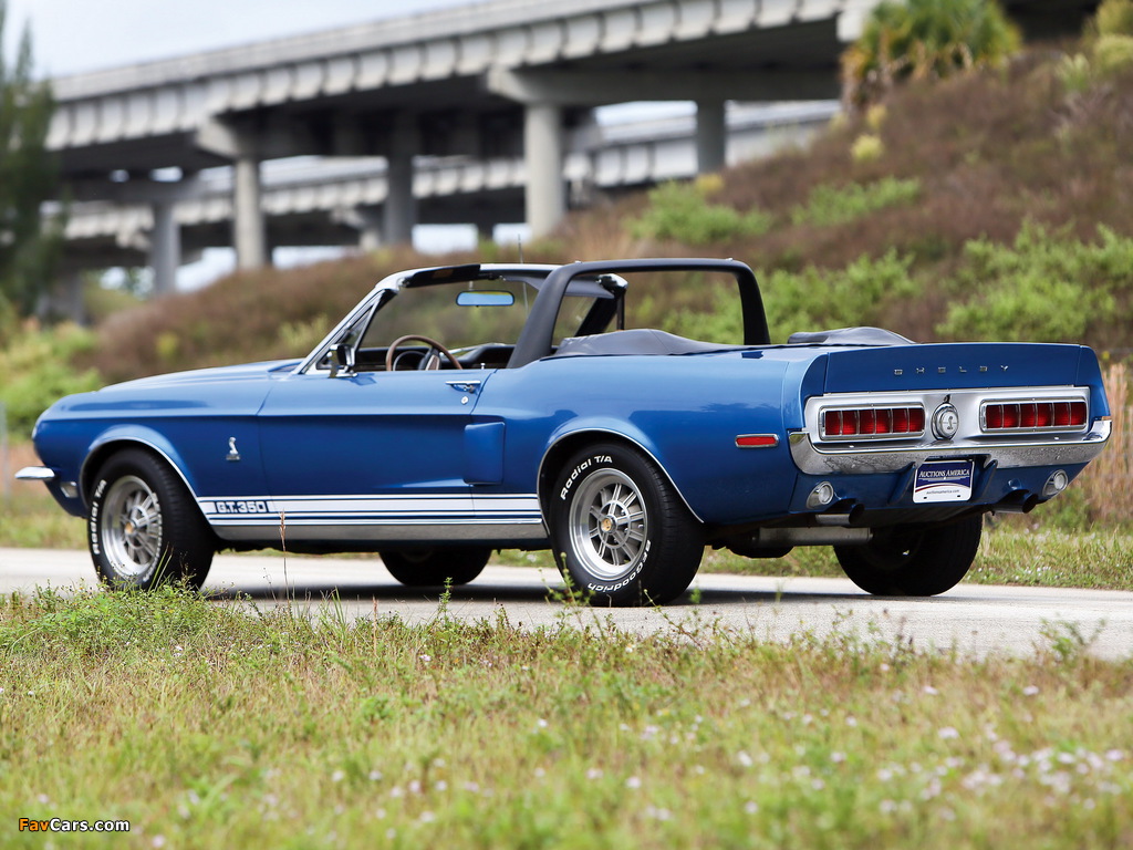 Photos of Shelby GT350 Convertible 1968 (1024 x 768)