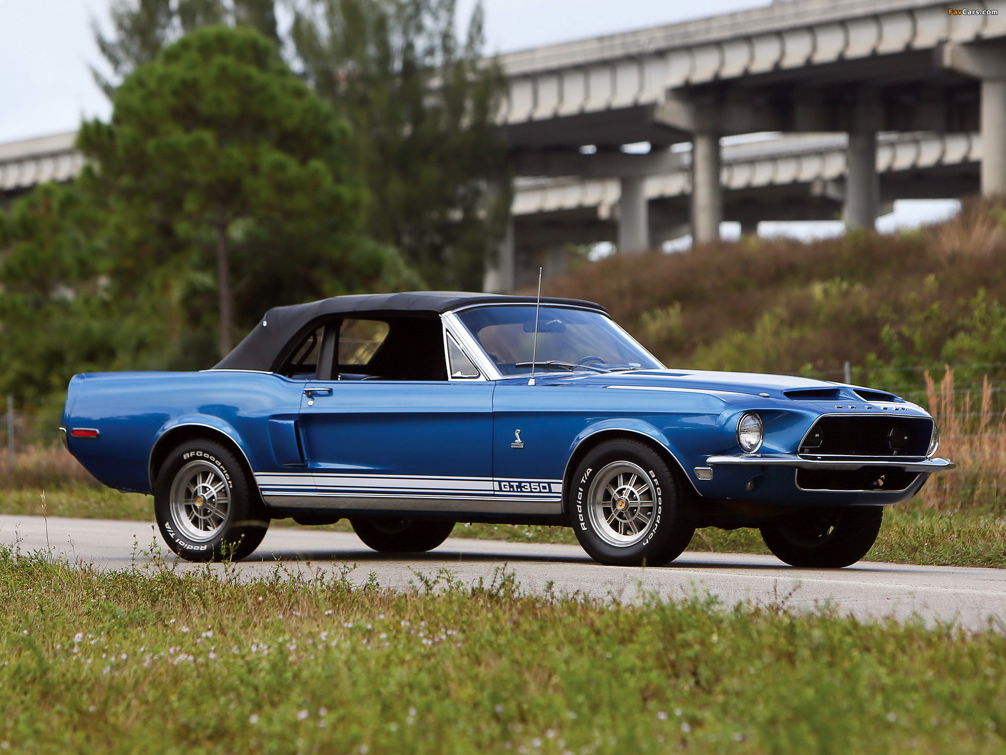 Photos of Shelby GT350 Convertible 1968 (2048 x 1536)