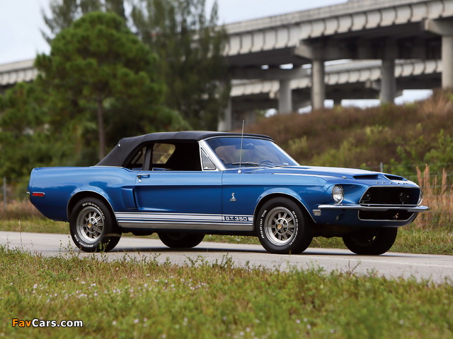 Photos of Shelby GT350 Convertible 1968 (640 x 480)