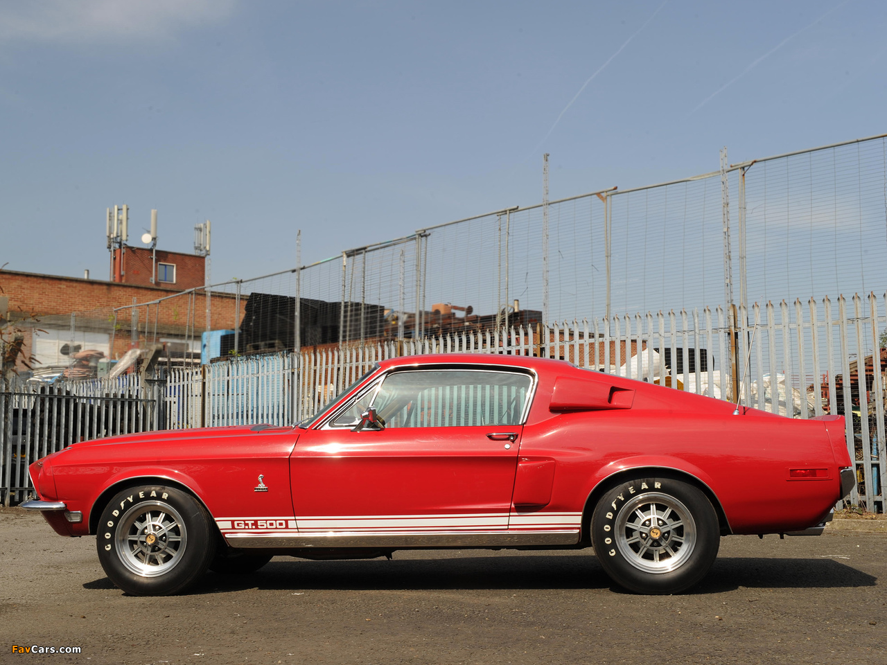 Photos of Shelby GT500 1968 (1280 x 960)