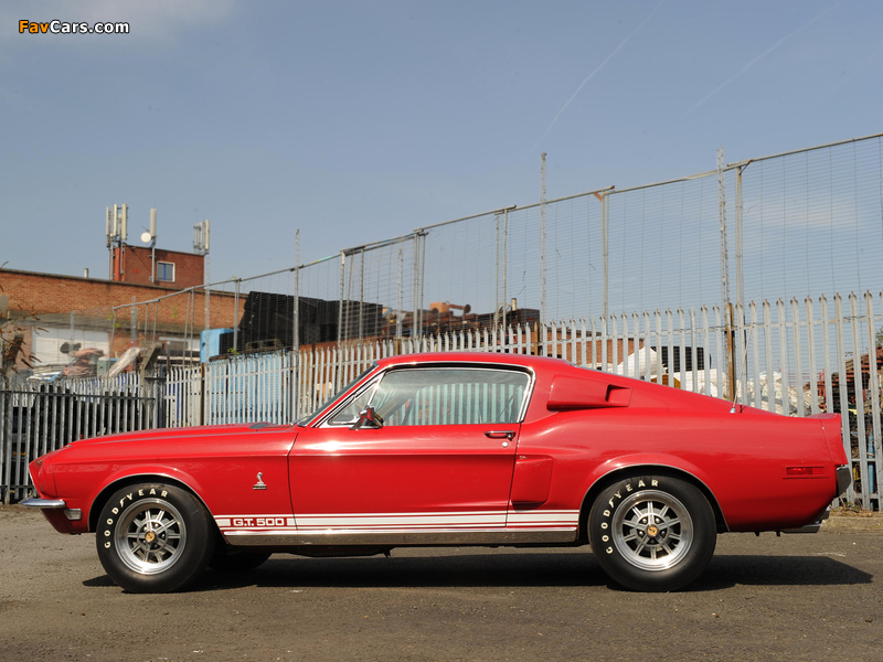 Photos of Shelby GT500 1968 (800 x 600)