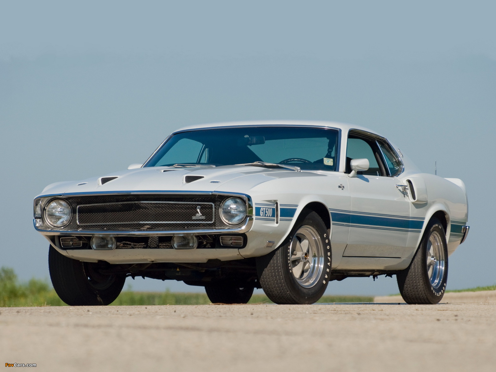 Photos of Shelby GT500 1969–70 (1600 x 1200)