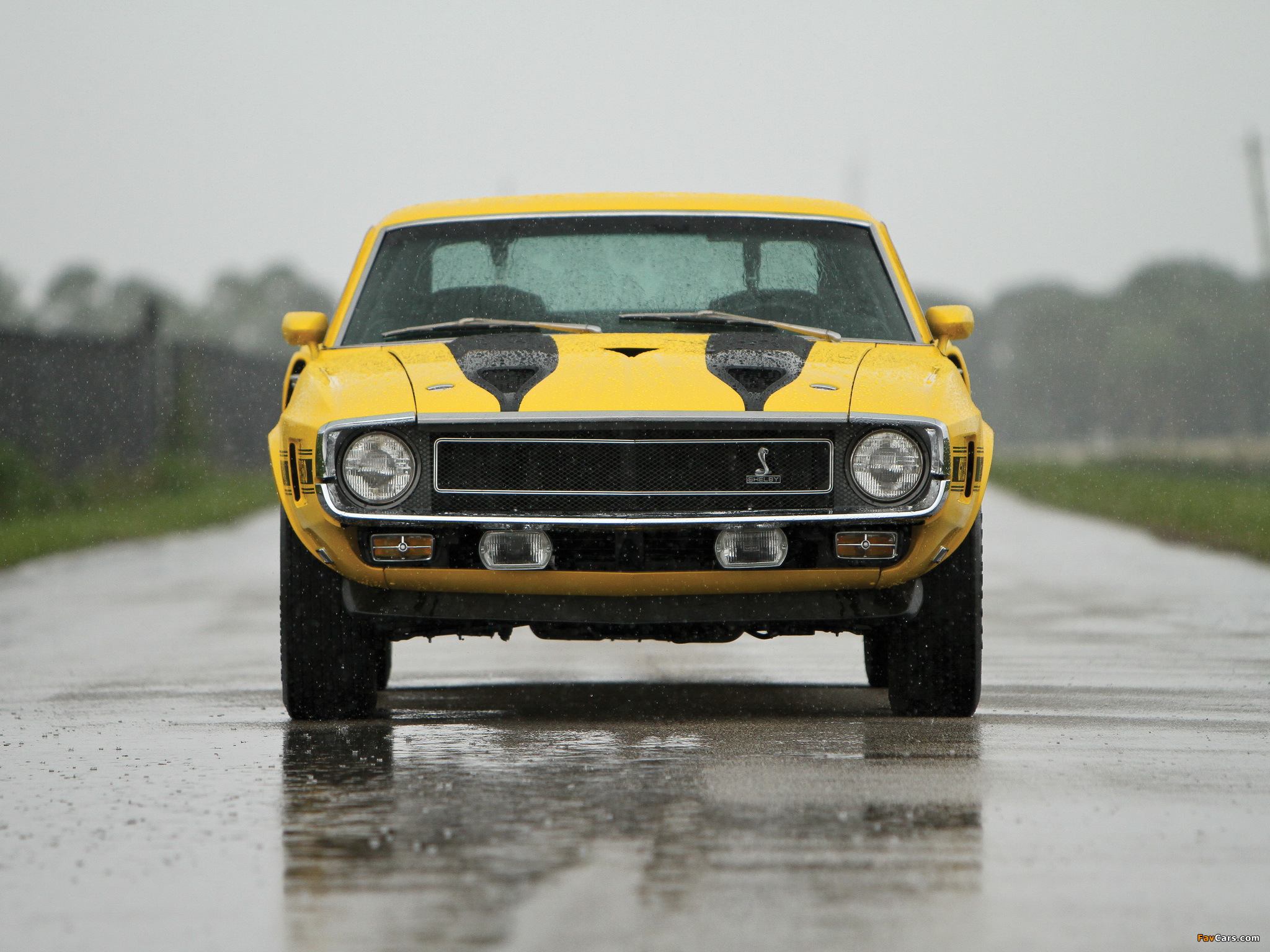Photos of Shelby GT350 1969–70 (2048 x 1536)