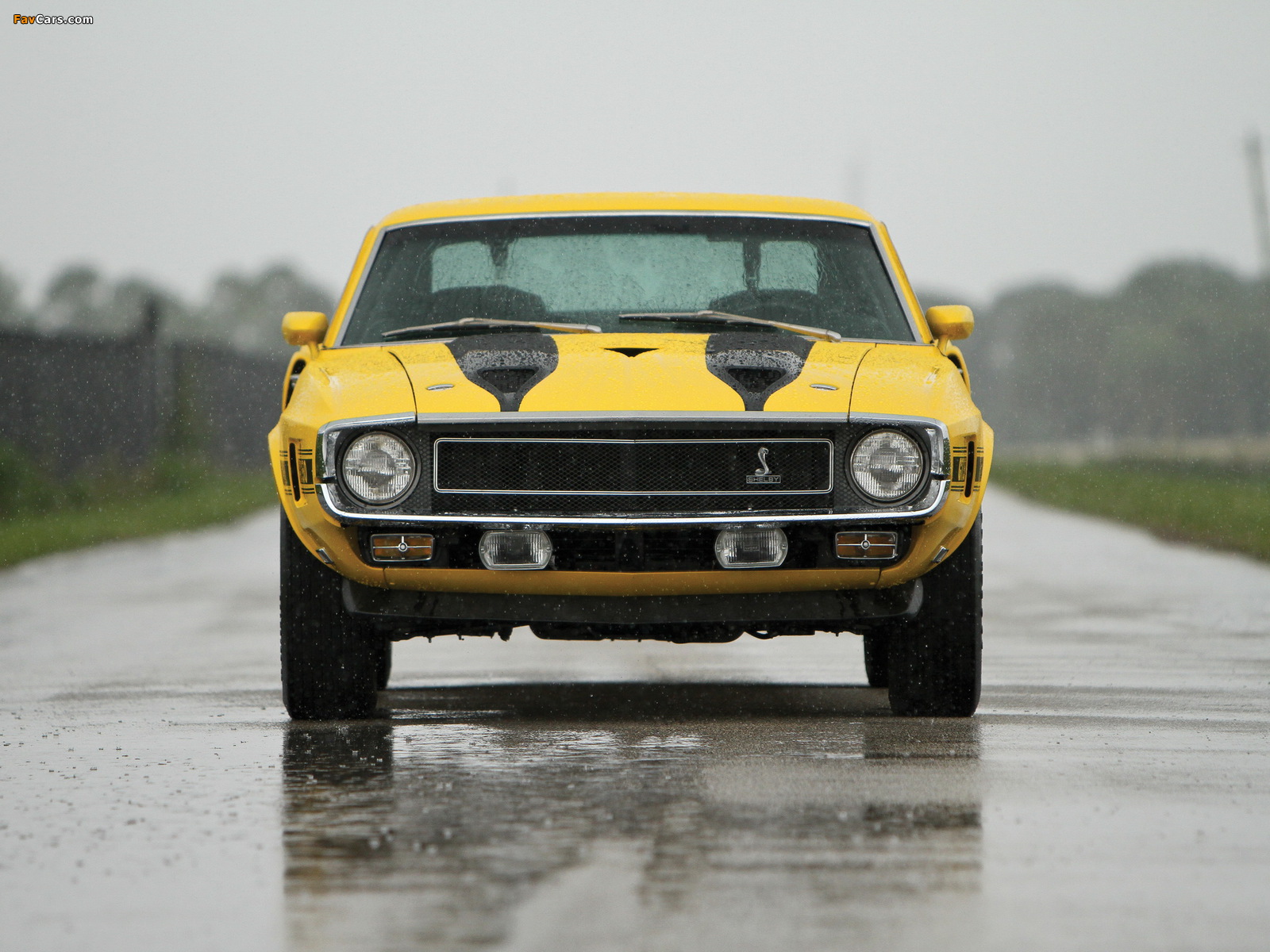 Photos of Shelby GT350 1969–70 (1600 x 1200)