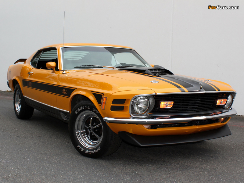 Photos of Mustang Mach 1 351 Twister Special 1970 (800 x 600)