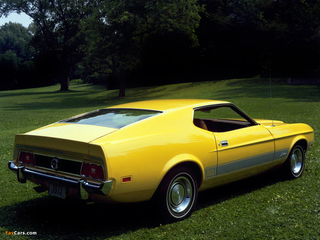 Photos of Mustang Mach 1 1973 (1024 x 768)