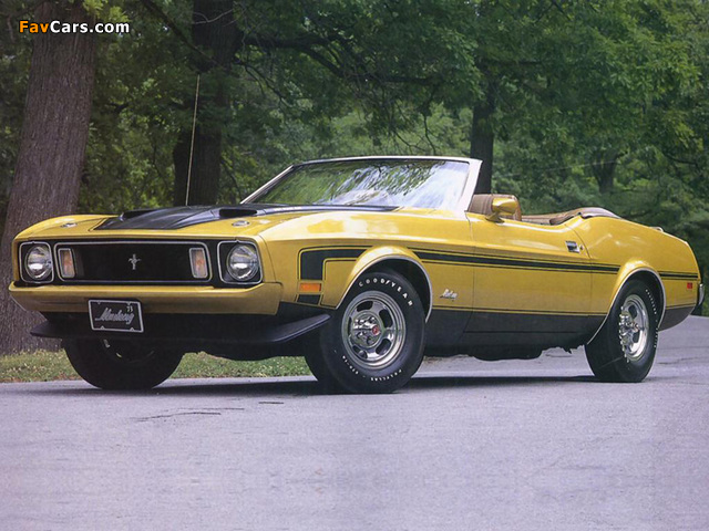 Photos of Mustang Convertible 1973 (640 x 480)