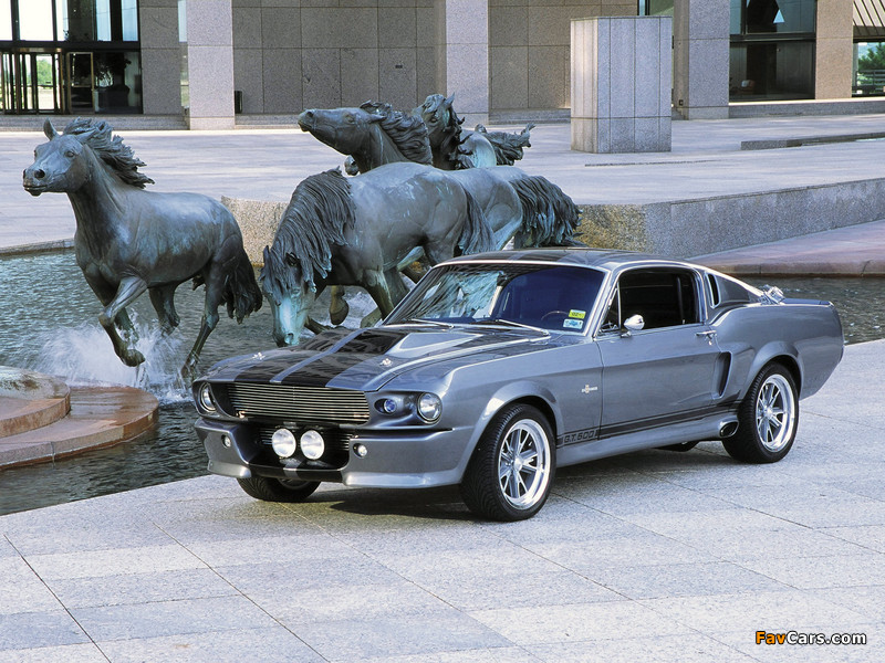 Photos of Mustang GT500 Eleanor 2000–09 (800 x 600)