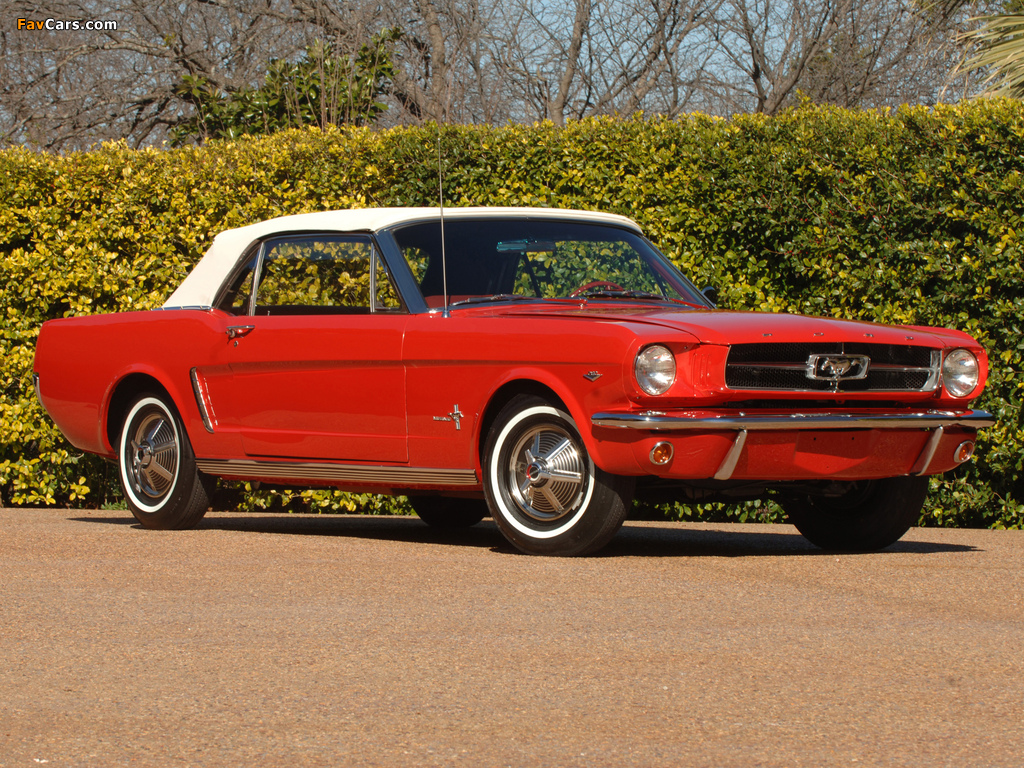Pictures of Mustang Convertible 1964 (1024 x 768)