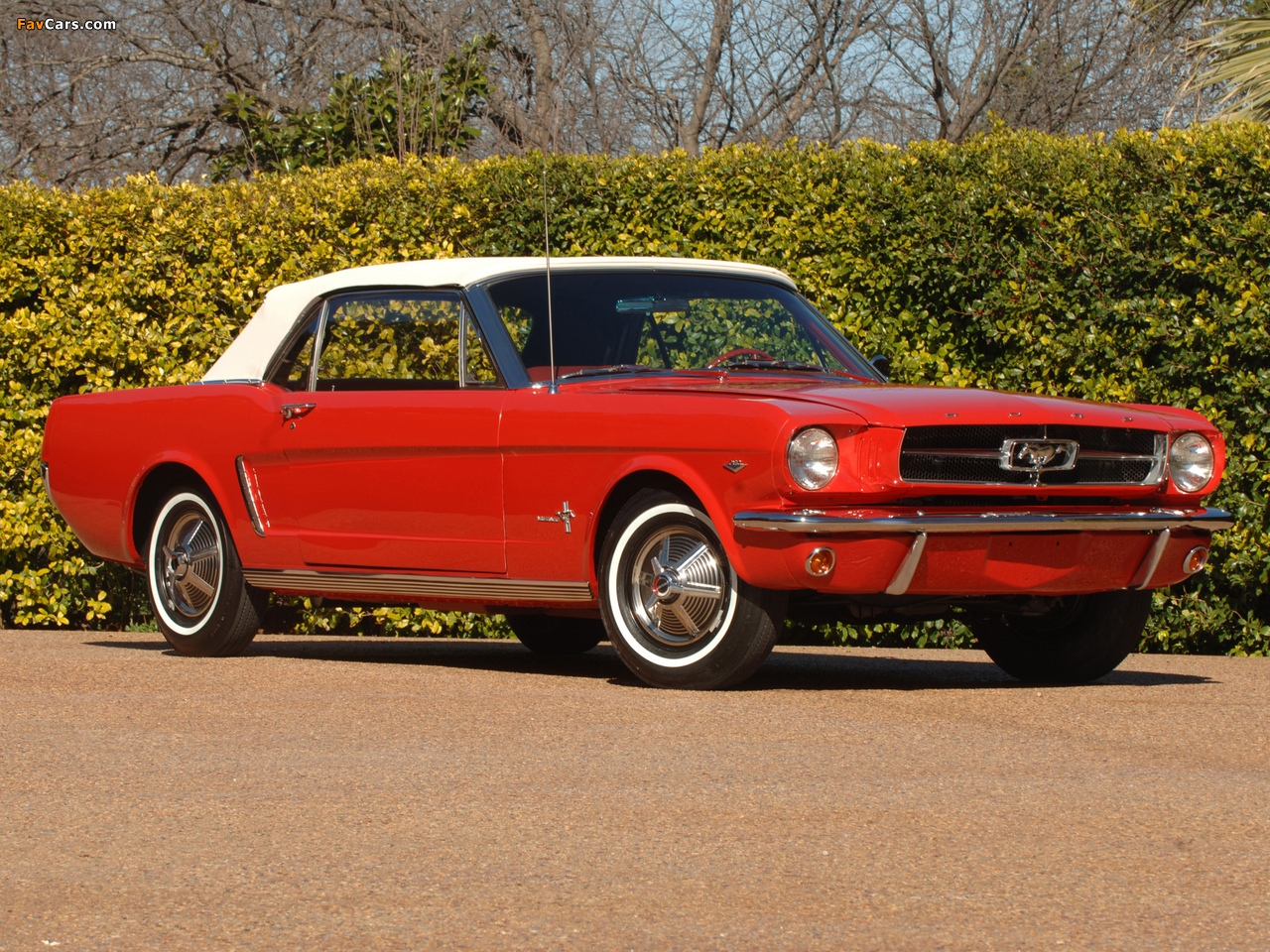 Pictures of Mustang Convertible 1964 (1280 x 960)