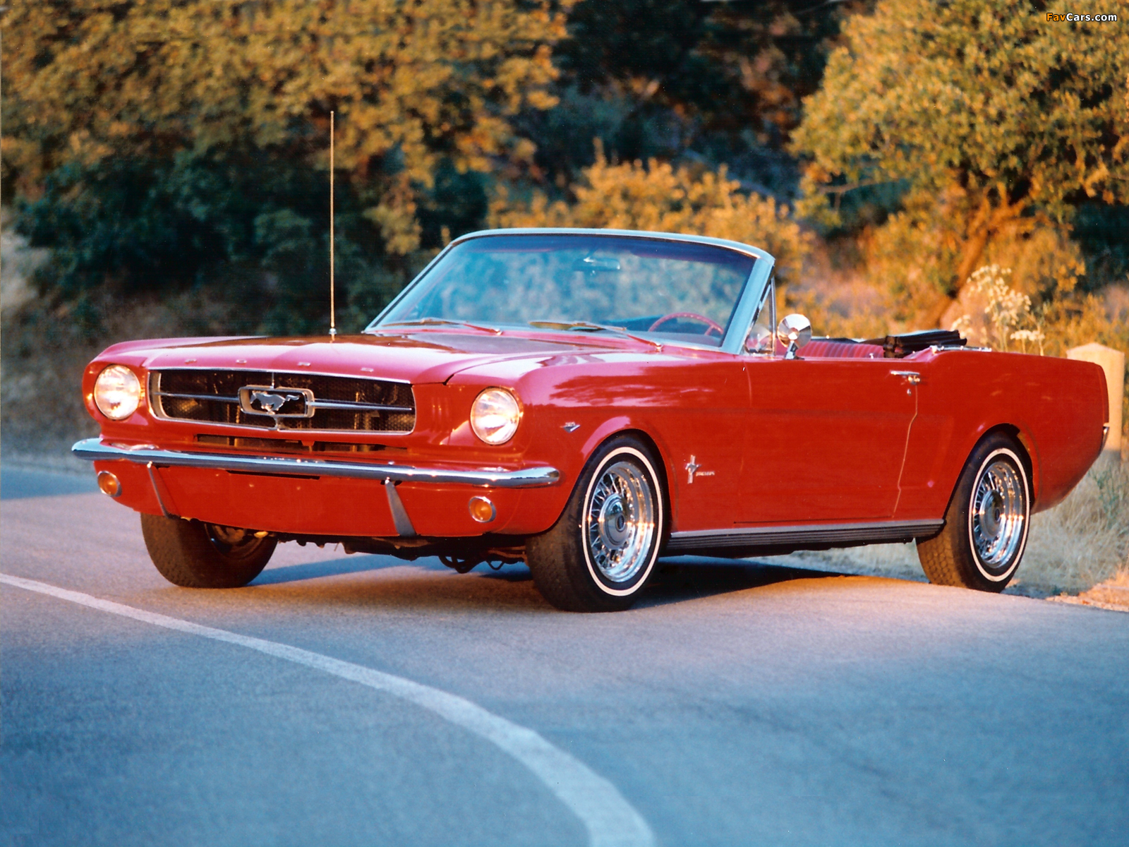 Pictures of Mustang Convertible 1965 (1600 x 1200)