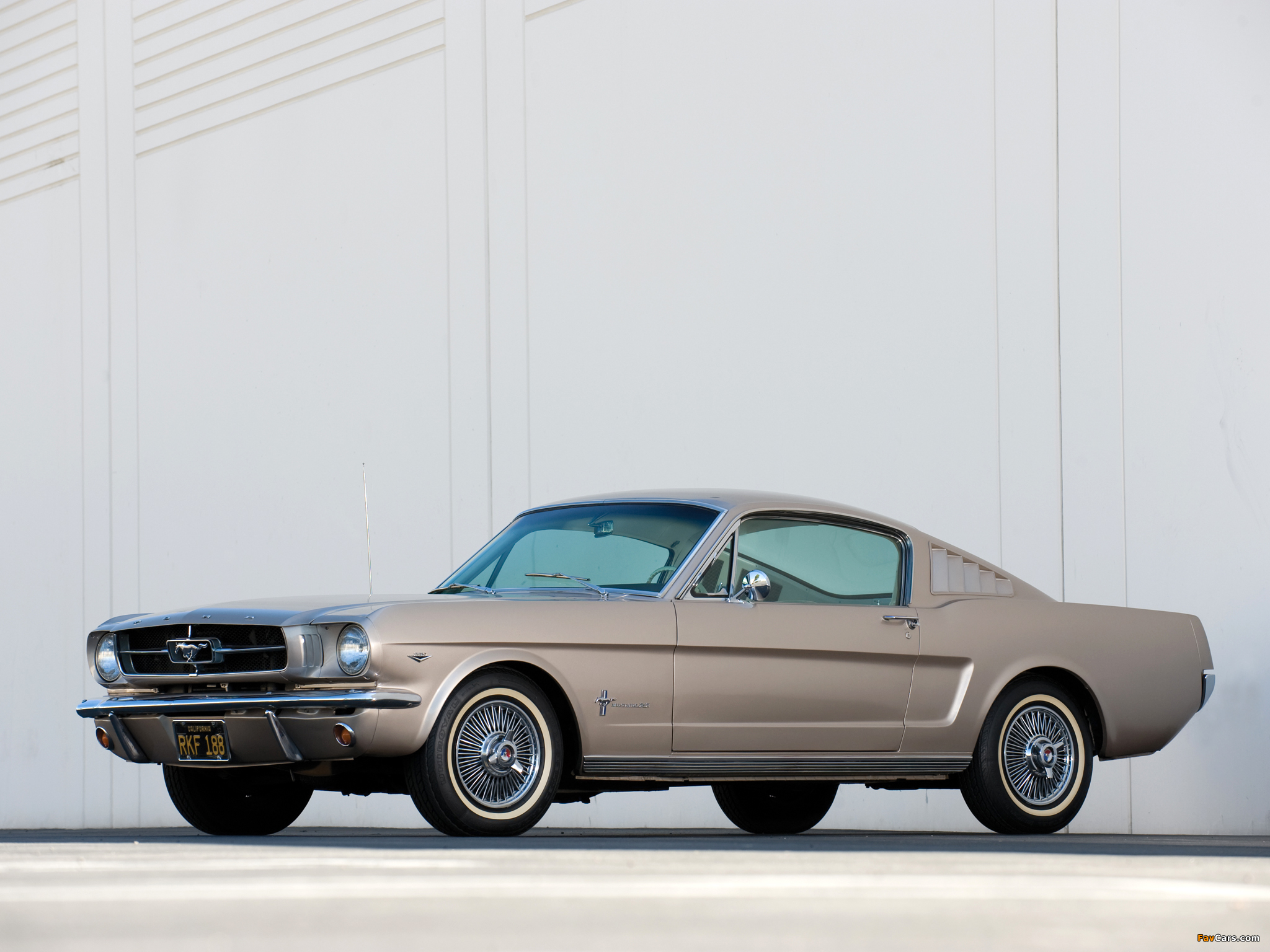 Pictures of Mustang Fastback 1965 (2048 x 1536)