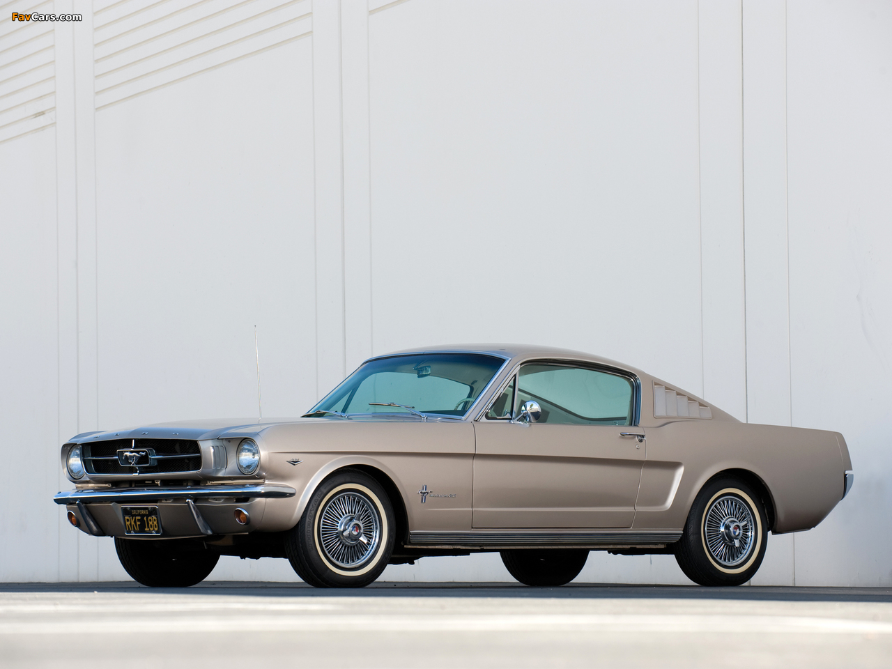 Pictures of Mustang Fastback 1965 (1280 x 960)