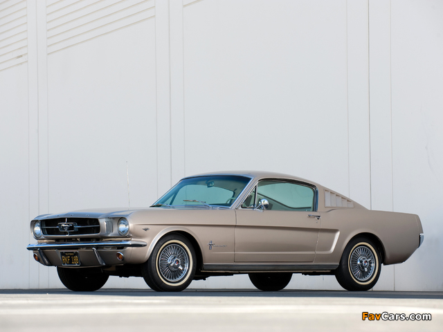 Pictures of Mustang Fastback 1965 (640 x 480)