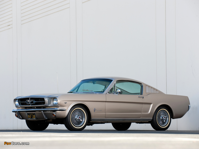 Pictures of Mustang Fastback 1965 (800 x 600)