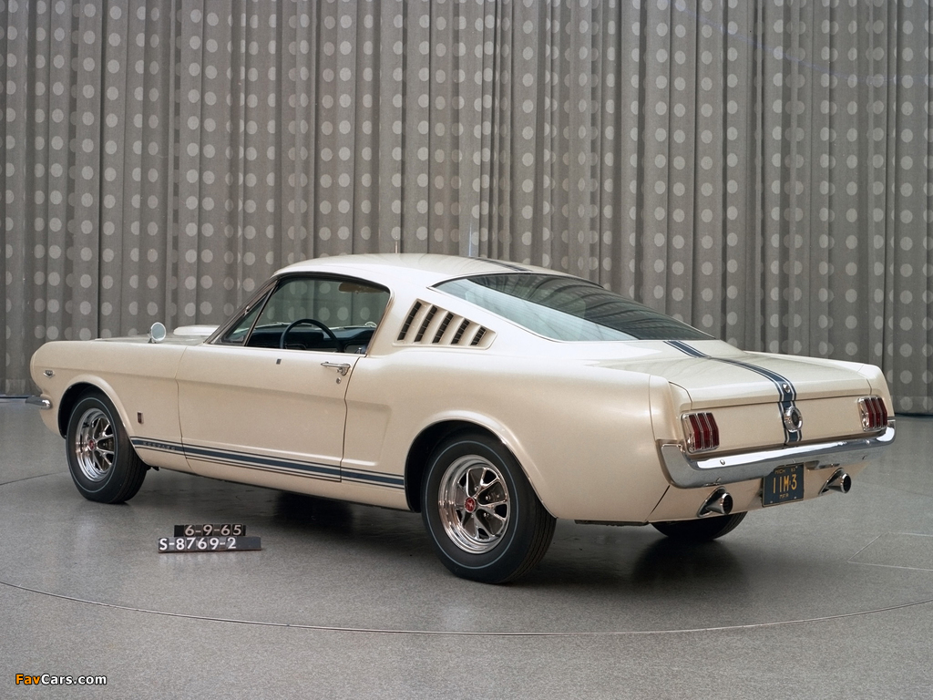 Pictures of Mustang GT Fastback EBF II 1965 (1024 x 768)