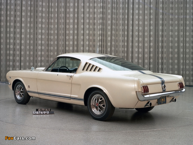 Pictures of Mustang GT Fastback EBF II 1965 (640 x 480)