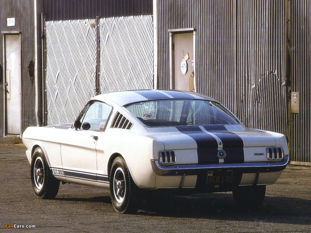 Pictures of Shelby GT350R 1965 (1024 x 768)