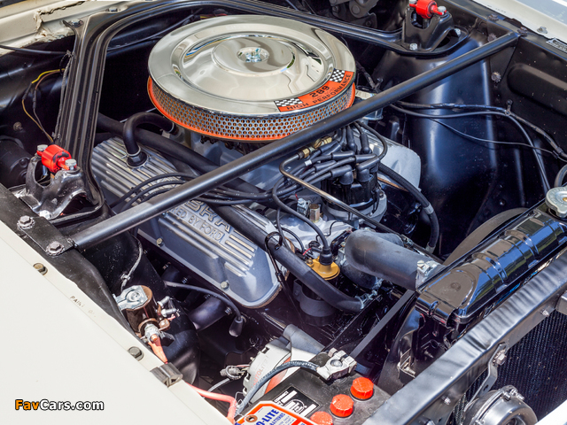 Pictures of Shelby GT350 1965 (640 x 480)