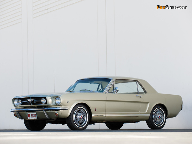 Pictures of Mustang GT Coupe 1965 (640 x 480)