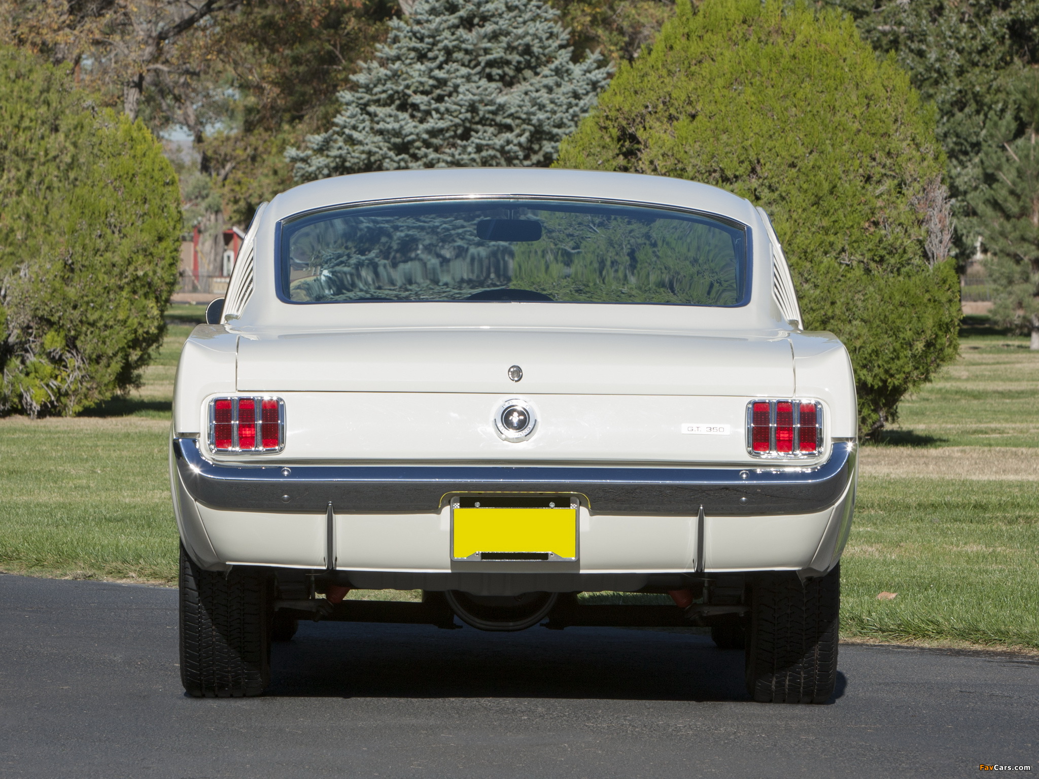 Pictures of Shelby GT350 1965 (2048 x 1536)