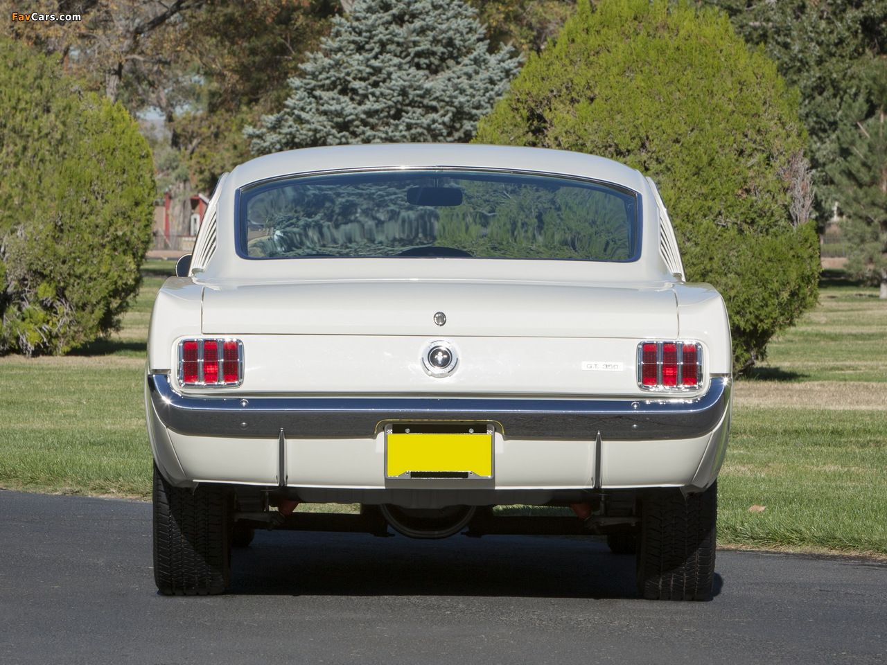 Pictures of Shelby GT350 1965 (1280 x 960)