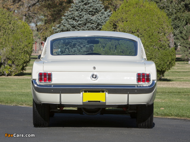 Pictures of Shelby GT350 1965 (640 x 480)