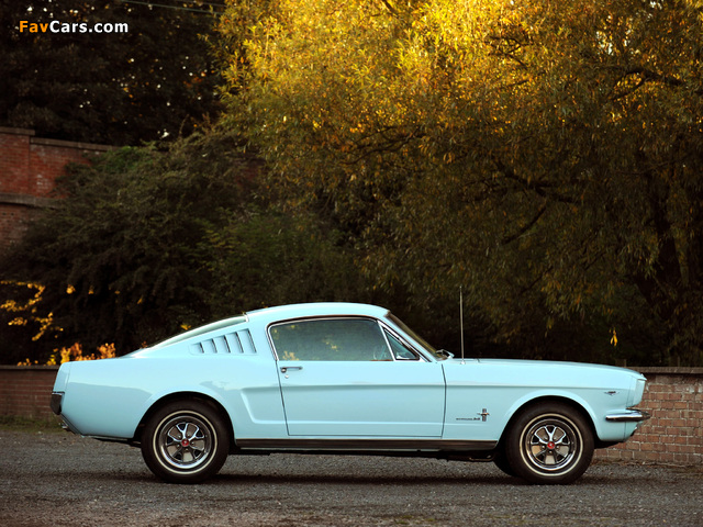 Pictures of Mustang Fastback 1965 (640 x 480)