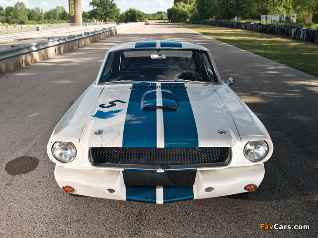 Pictures of Shelby GT350R 1965 (640 x 480)