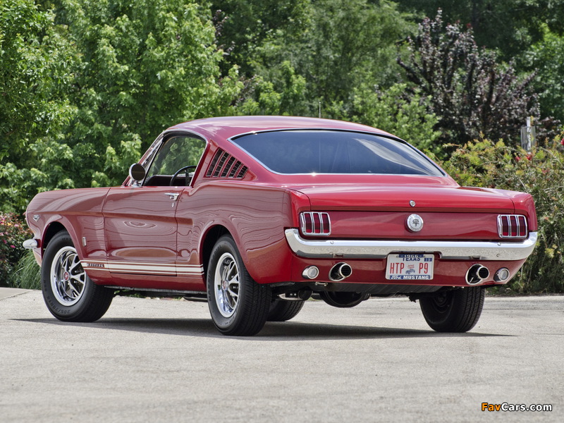 Pictures of Mustang GT Fastback 1966 (800 x 600)