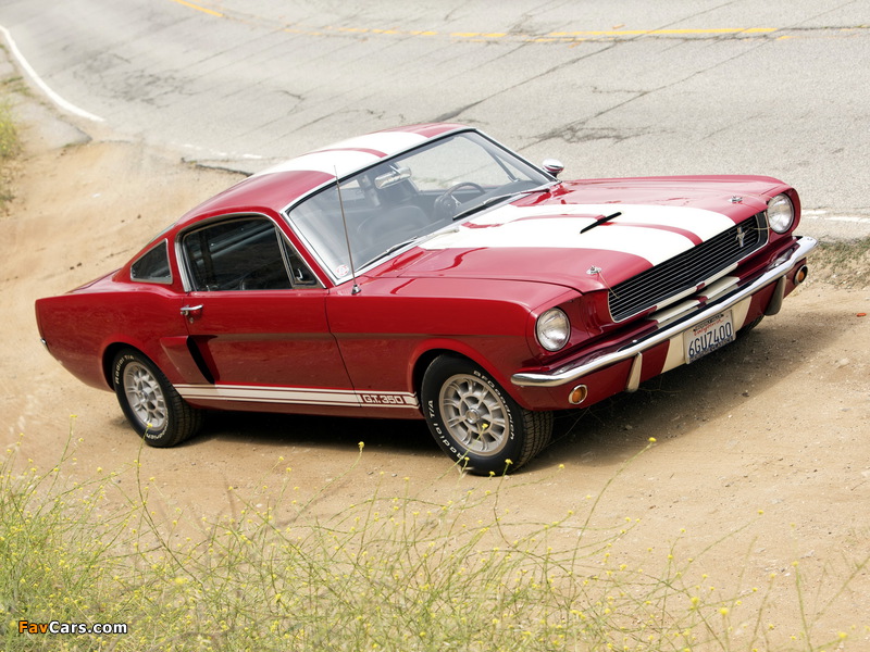 Pictures of Shelby GT350 1966 (800 x 600)