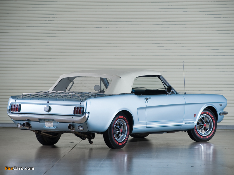 Pictures of Mustang GT Convertible 1966 (800 x 600)