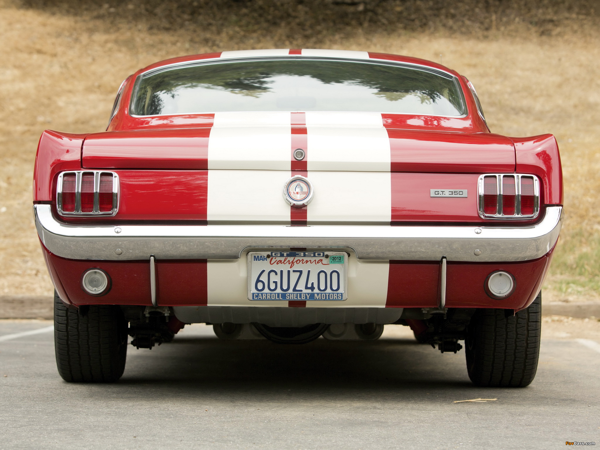 Pictures of Shelby GT350 1966 (2048 x 1536)
