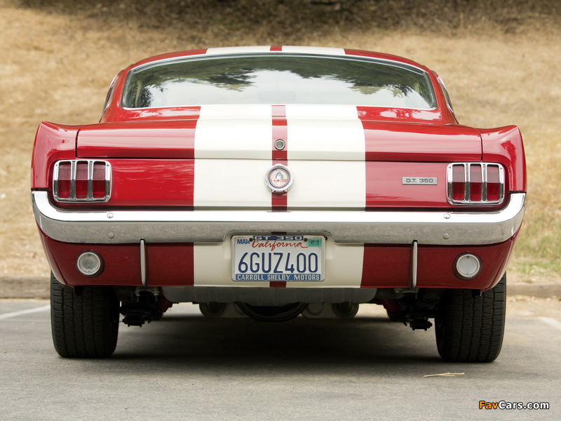 Pictures of Shelby GT350 1966 (800 x 600)