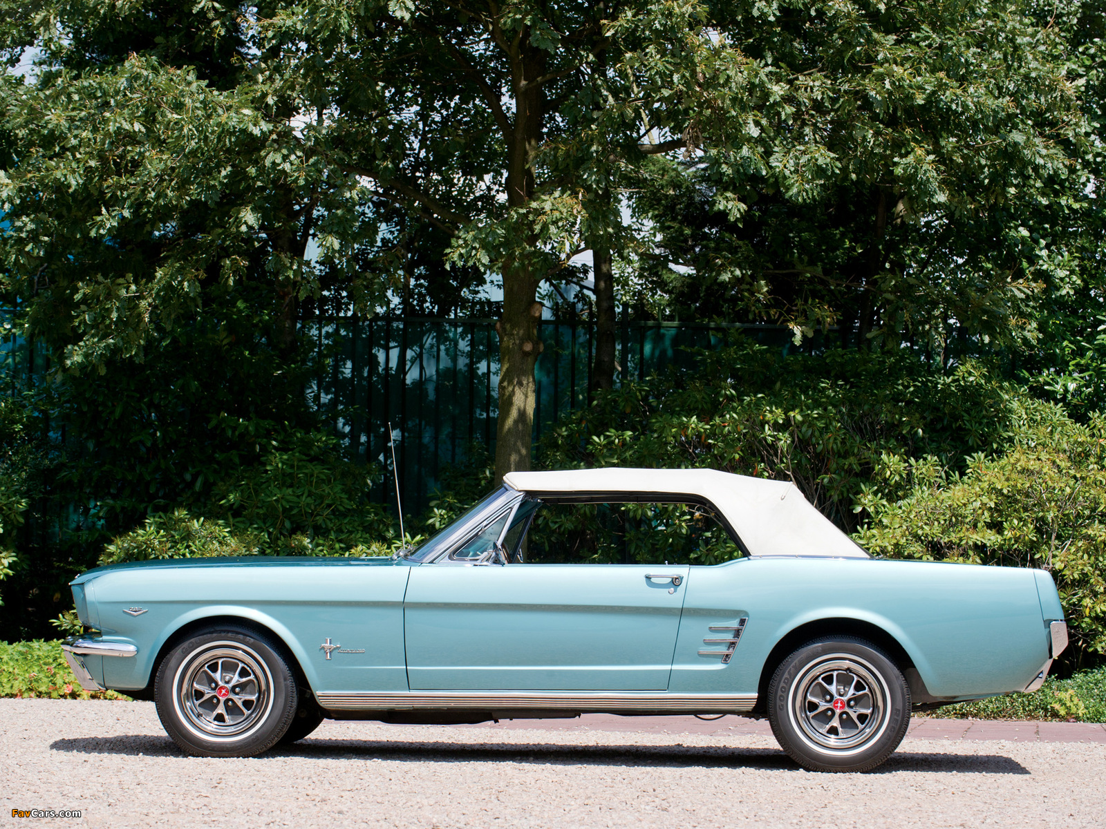 Pictures of Mustang Convertible 1966 (1600 x 1200)