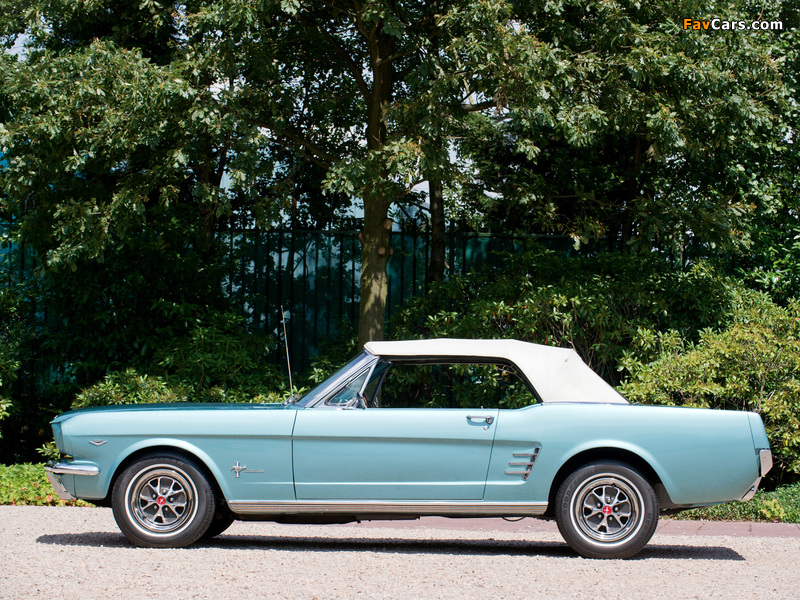 Pictures of Mustang Convertible 1966 (800 x 600)