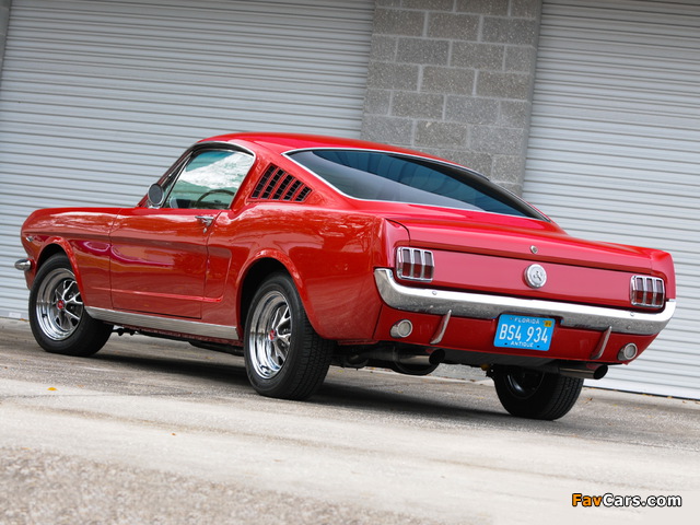 Pictures of Mustang Fastback 1966 (640 x 480)