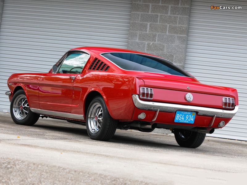 Pictures of Mustang Fastback 1966 (800 x 600)