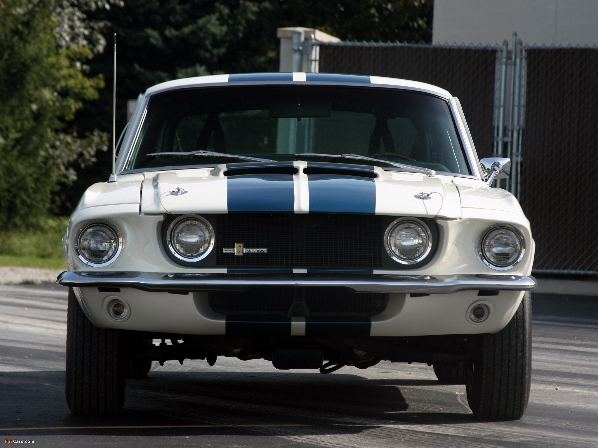 Pictures of Shelby GT500 1967 (2048 x 1536)